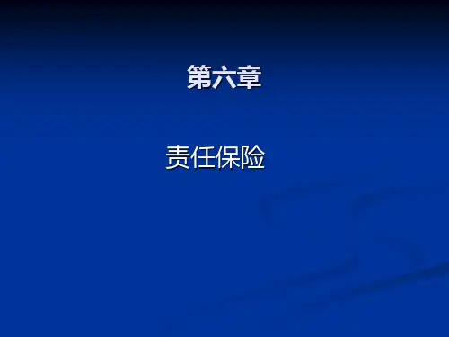 6责任保险pze