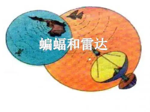 11.蝙蝠和雷达