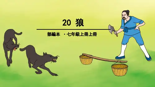 初中语文七年级上册课件PPT第二十课  狼