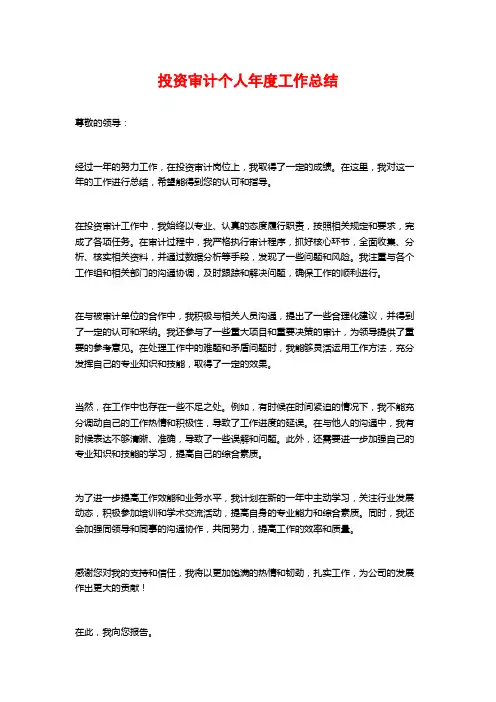 投资审计个人年度工作总结