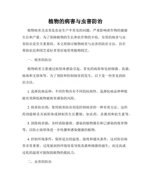 植物的病害与虫害防治