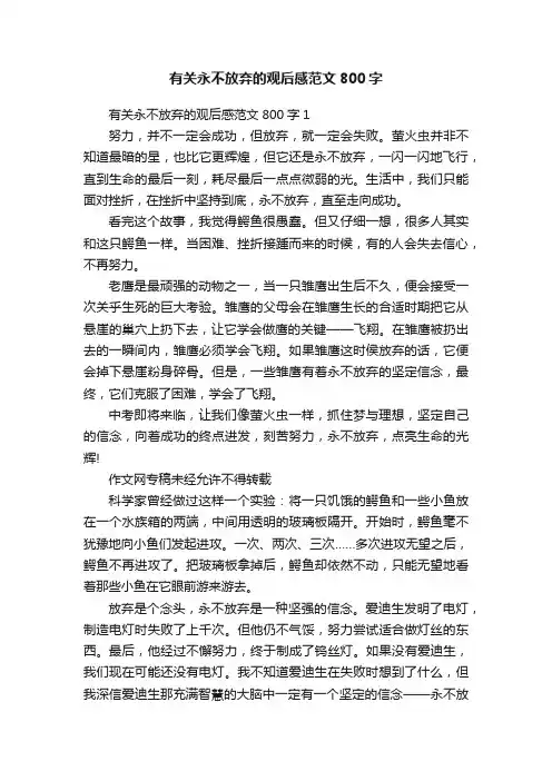 有关永不放弃的观后感范文800字