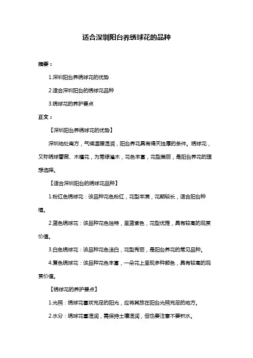 适合深圳阳台养绣球花的品种