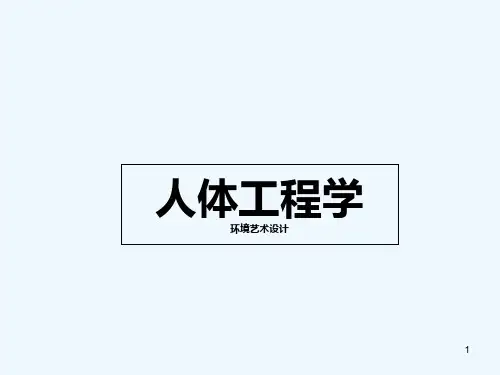 人体工程学-PPT