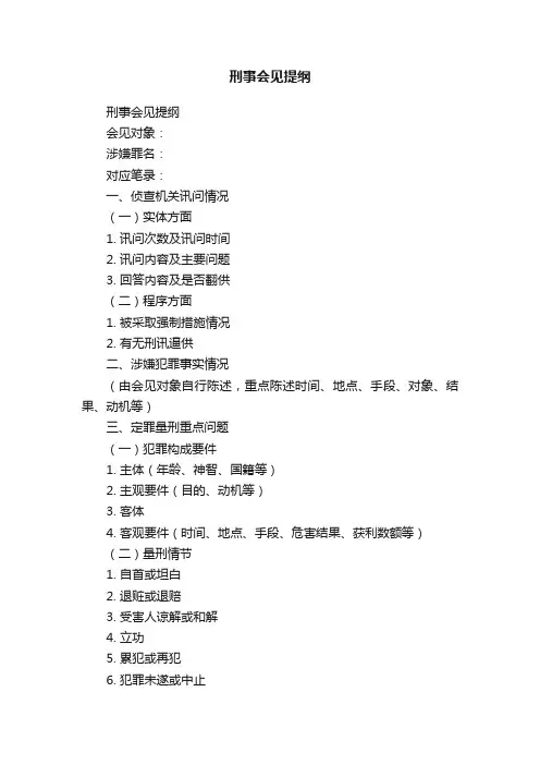 刑事会见提纲