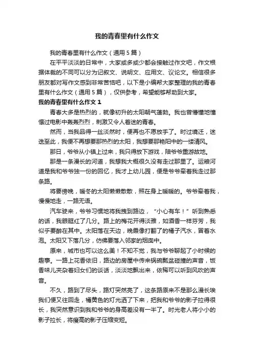 我的青春里有什么作文（通用5篇）