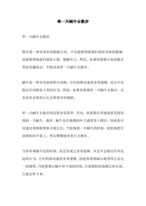 牵一只蜗牛去散步