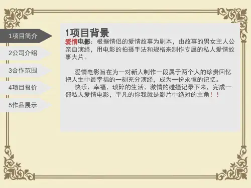 某项目洽谈合作方案(ppt 12页)