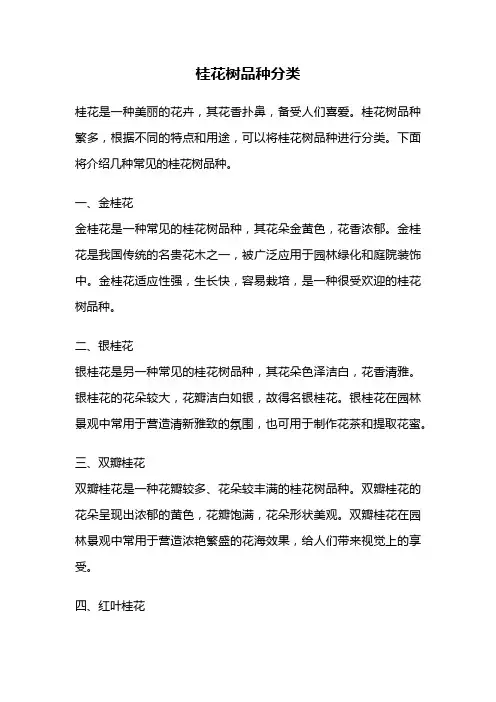 桂花树品种分类