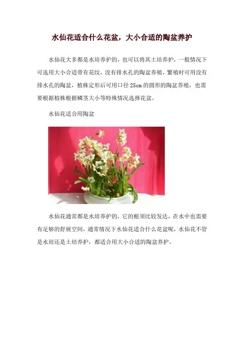 水仙花适合什么花盆,大小合适的陶盆养护