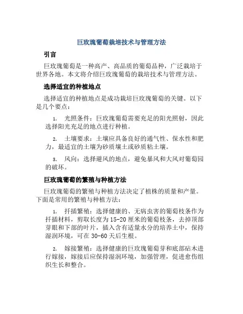 巨玫瑰葡萄栽培技术与管理方法