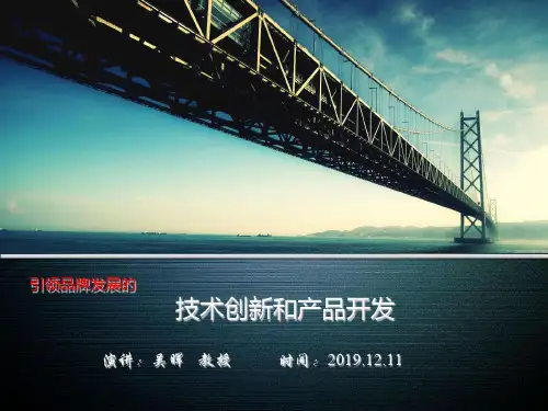 技术创新与品牌发展-33页PPT资料