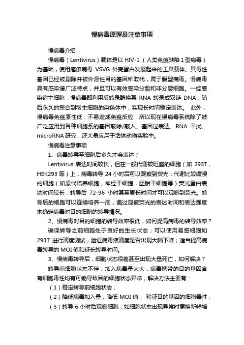 慢病毒原理及注意事项