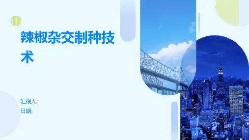 辣椒杂交制种技术