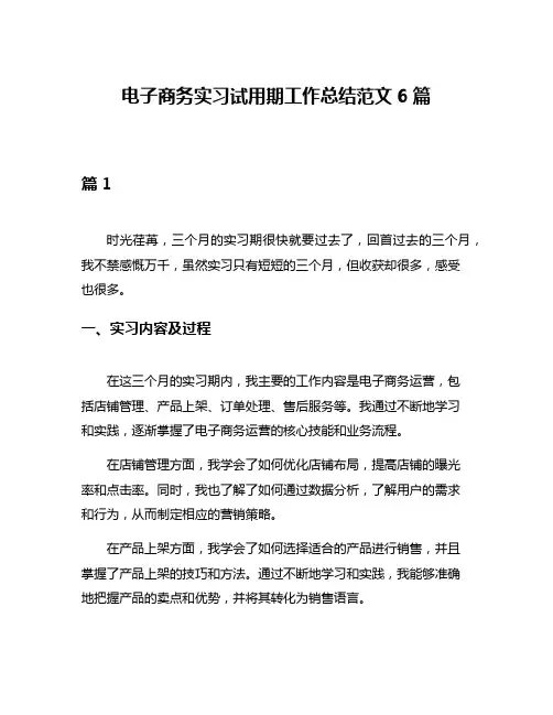 电子商务实习试用期工作总结范文6篇