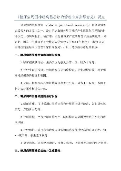《糖尿病周围神经病基层诊治管理专家指导意见》要点