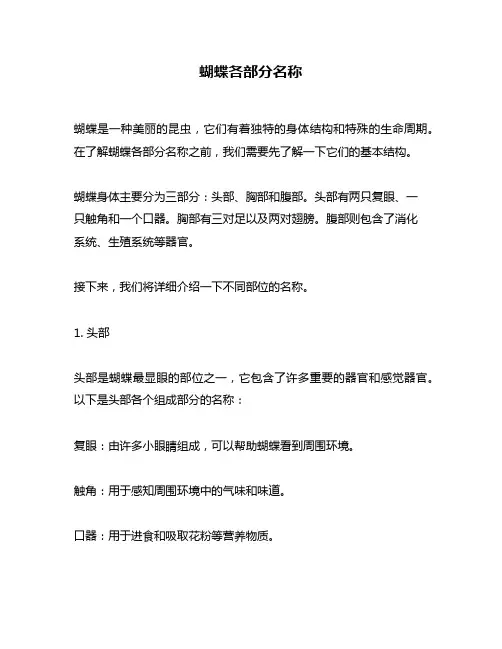 蝴蝶各部分名称