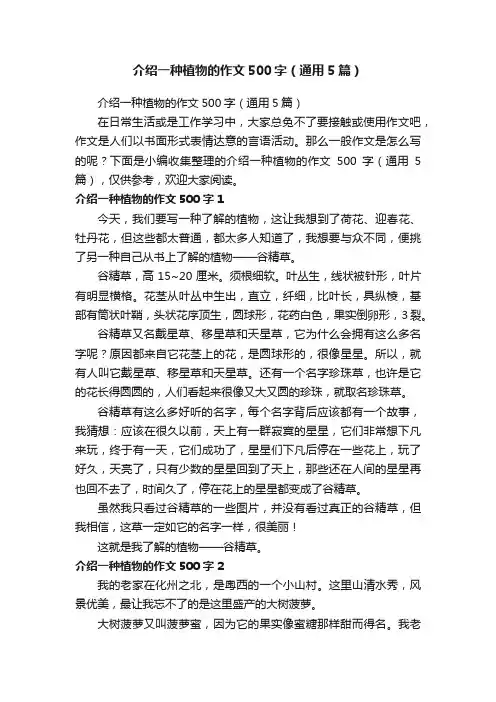介绍一种植物的作文500字（通用5篇）