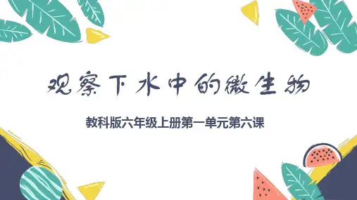 观察水中的微生物