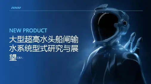 大型超高水头船闸输水系统型式研究与展望