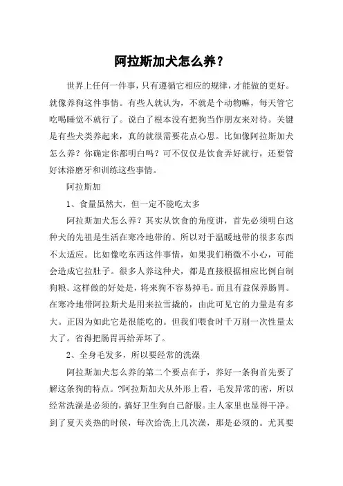 阿拉斯加犬怎么养？