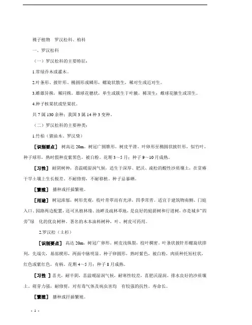 裸子植物---罗汉松科、柏科 教案--内页2011