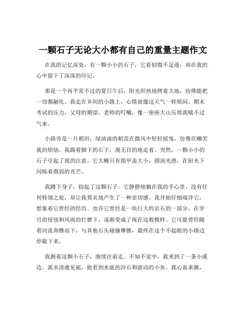 一颗石子无论大小都有自己的重量主题作文