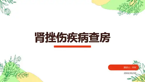 肾挫伤疾病查房ppt模板