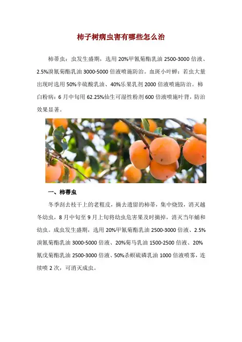柿子树病虫害有哪些怎么治