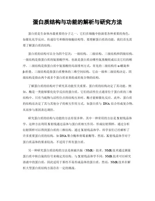 蛋白质结构与功能的解析与研究方法