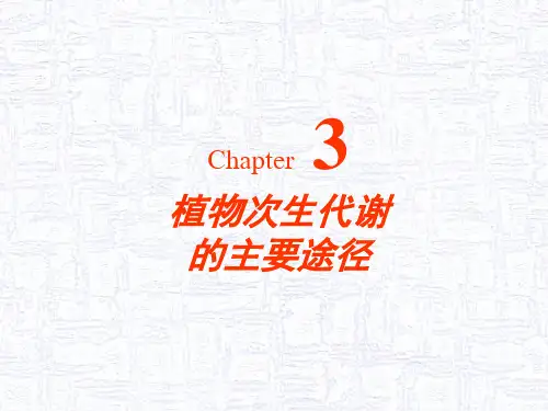 植物次生代谢的主要途径课件