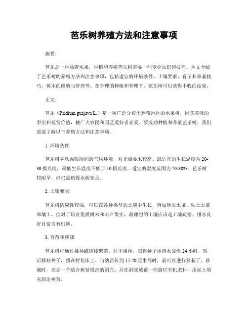 芭乐树养殖方法和注意事项