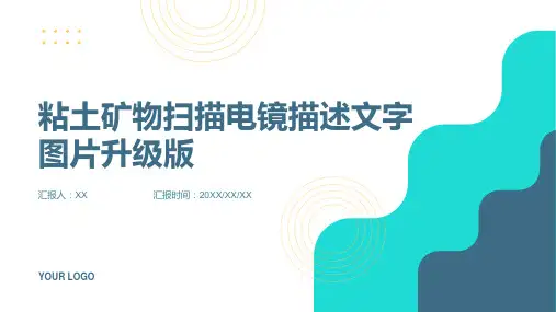 粘土矿物扫描电镜描述文字图片升级版