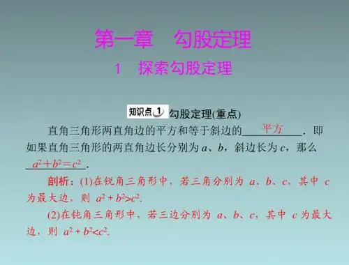 数学：第一章-1《探索勾股定理-》(北师大版八年级)