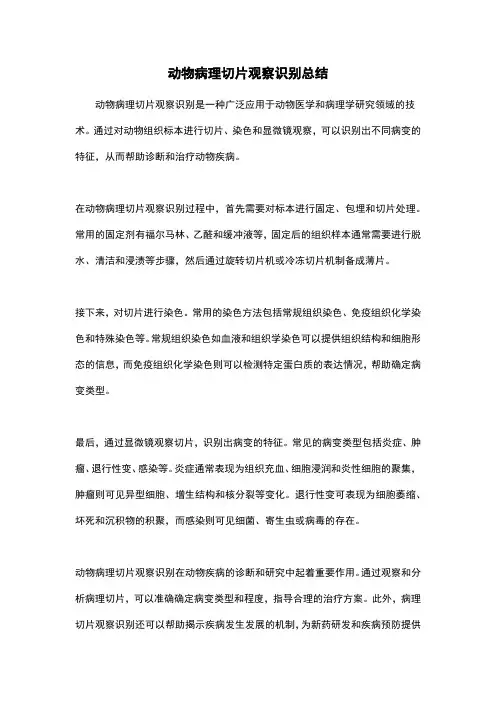 动物病理切片观察识别总结
