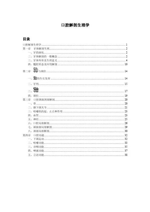 恒牙期间的牙合特点