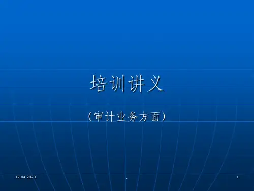 审计业务培训讲义ppt课件