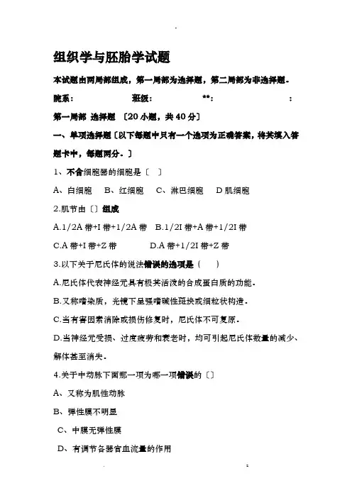 组织学胚胎学期末考试题