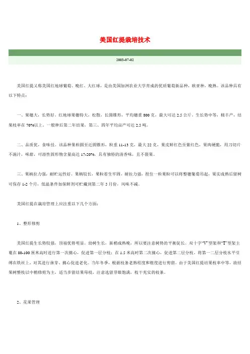 美国红提