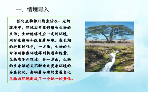 6.1生物与环境的相互作用复习课件(24张PPT)-2023-2024学年济南版生物八年级下册