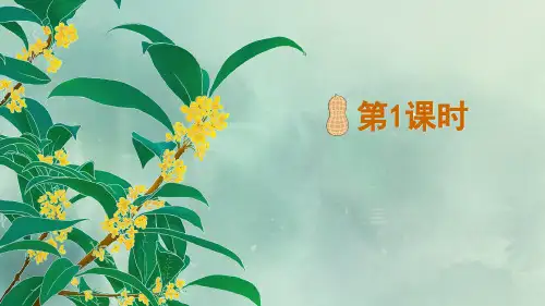 《落花生》精品课件(第一课时)