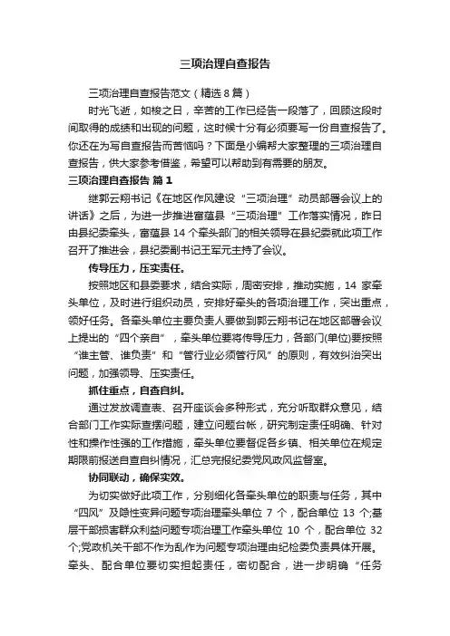 三项治理自查报告