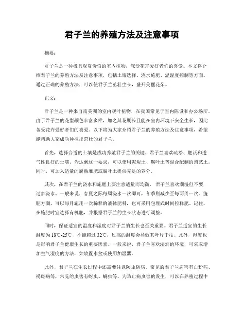 君子兰的养殖方法及注意事项