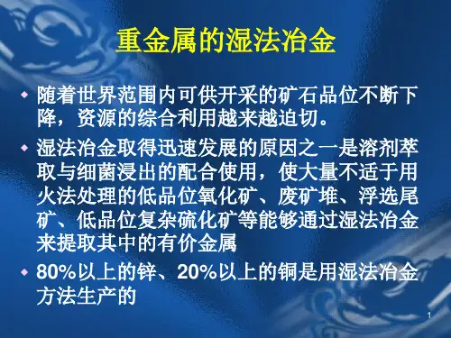 重金属湿法冶金2