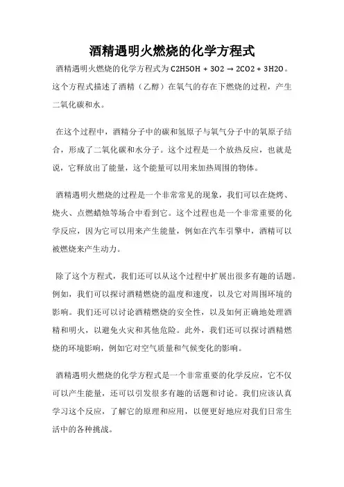 酒精遇明火燃烧的化学方程式