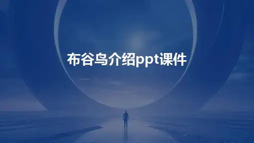 布谷鸟介绍ppt课件