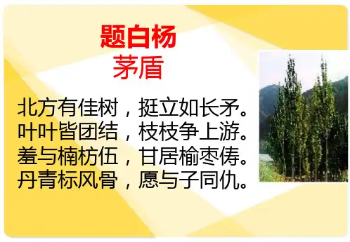 最新人教部编版八年级上册15白杨礼赞(共42张PPT)