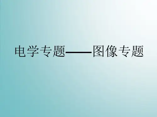 电学图像专题练习课件++--2024-2025学年人教版物理九年级上学期