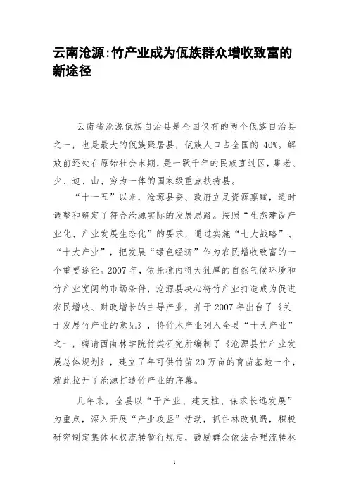 云南沧源竹产业成为佤族群众增收致富的新途径