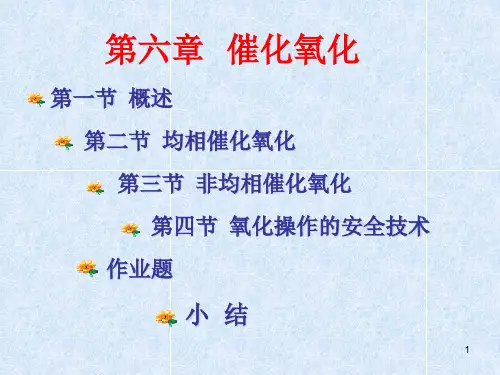 催化氧化PPT精选文档
